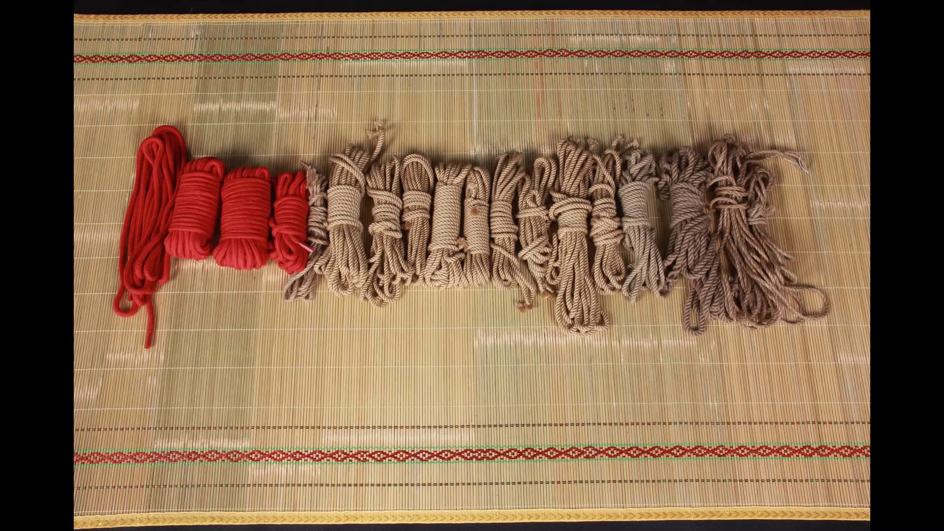 艺束人生 新模试镜之小蝶