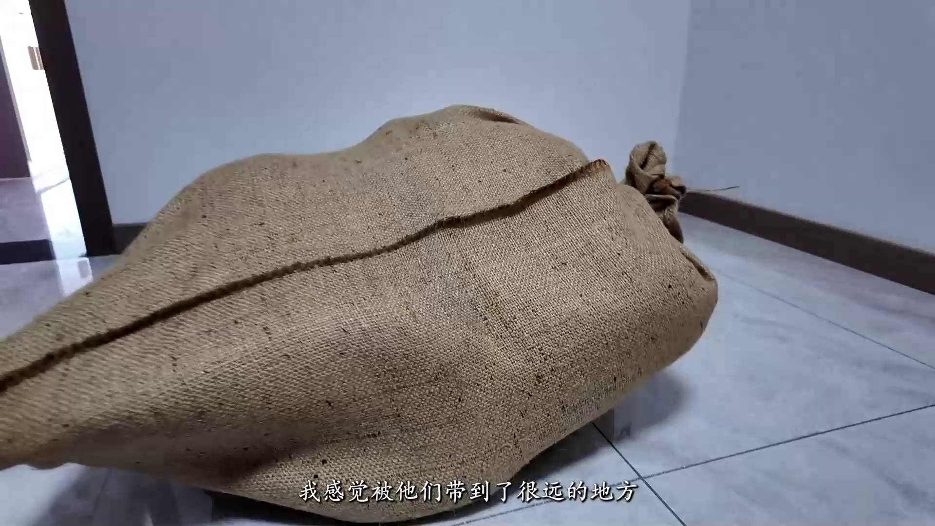 李大侠原创 小遥的故事（下）